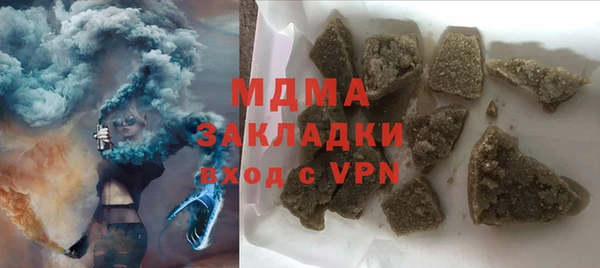 прущие грибы Ельня
